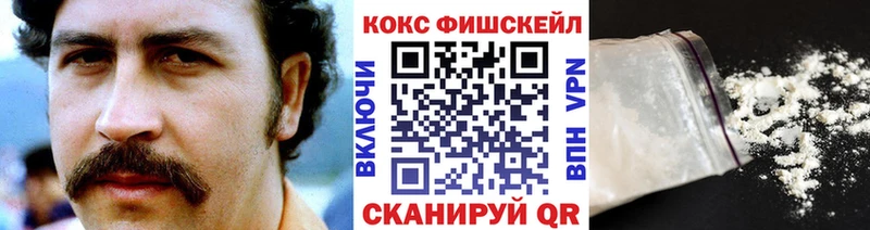 Купить закладки  Светлый  COCAIN Fish Scale 