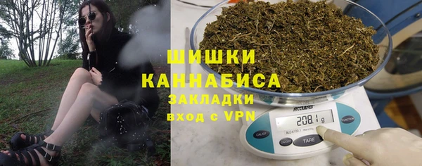 прущие грибы Балабаново