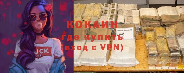 прущие грибы Балабаново