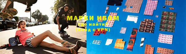 прущие грибы Балабаново