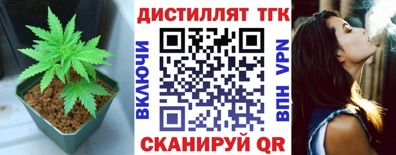 Купить где  Светлый  ТГК концентрат 